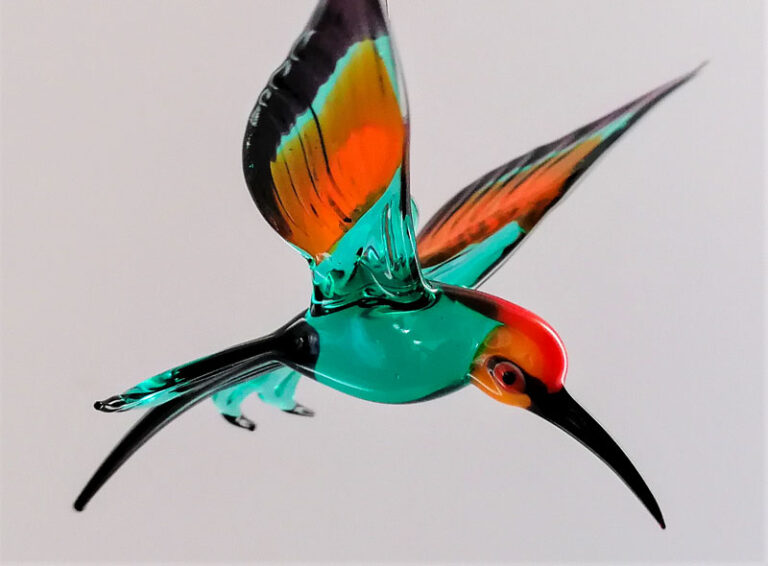Glasvogelwelt 2 1 768x566