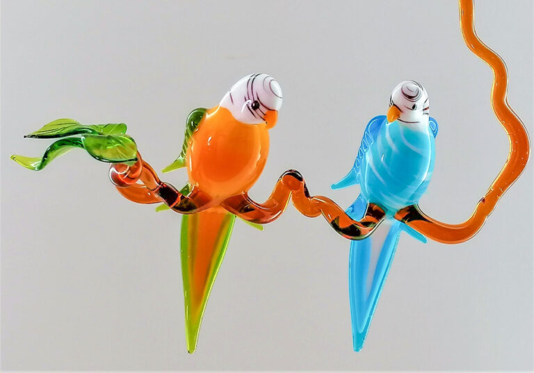 Glasvogelwelt 9 1 768x537