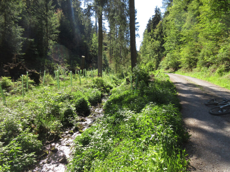 Reuscheltal 1 768x576
