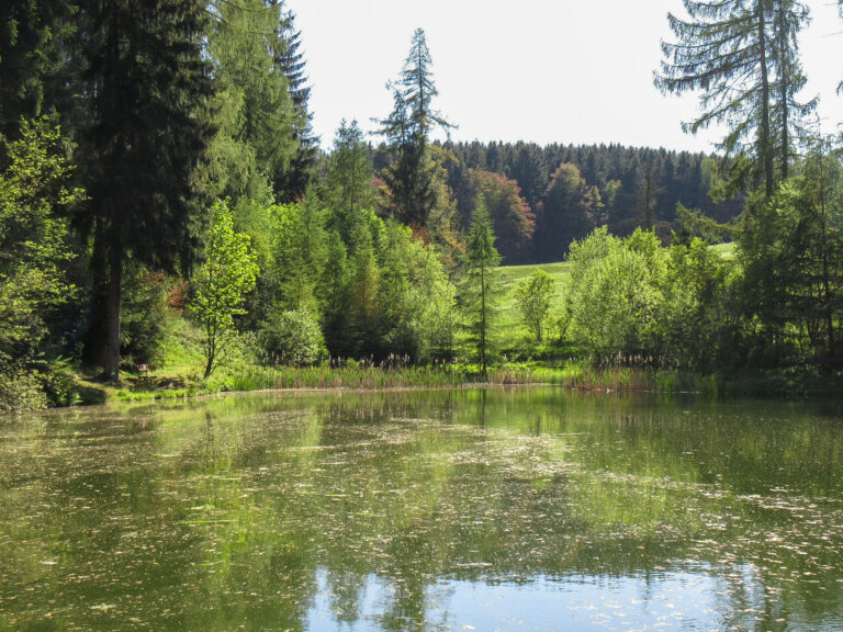 Reuscheltal 10 768x576