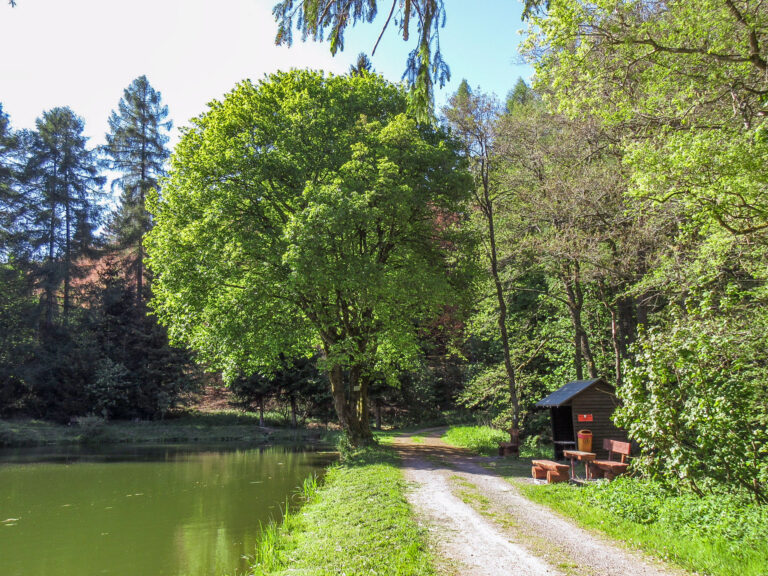 Reuscheltal 11 768x576