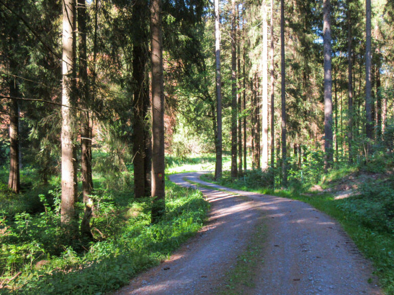 Reuscheltal 12 768x576