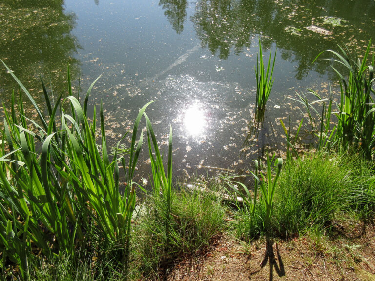 Reuscheltal 14 768x576