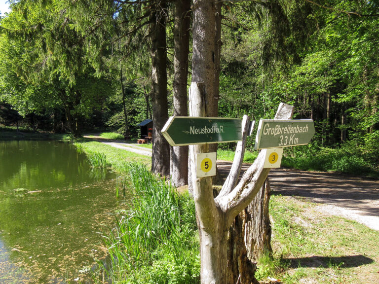 Reuscheltal 15 768x576