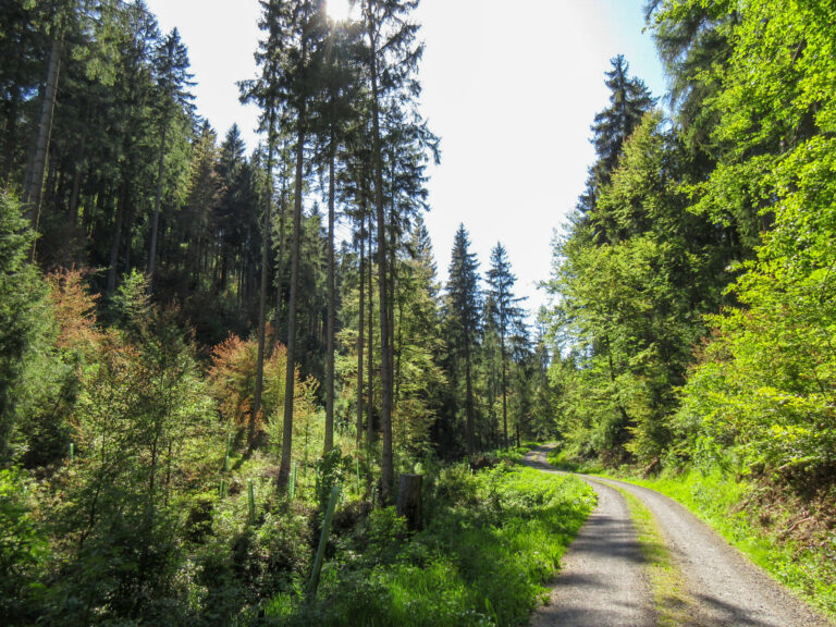 Reuscheltal 2 768x576