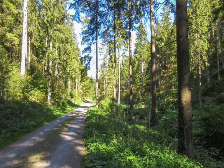 Reuscheltal 4 768x576