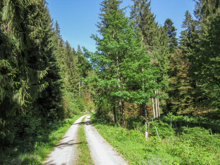Reuscheltal 7 1 768x576