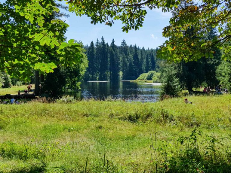 Ochsenbacher 7 768x576