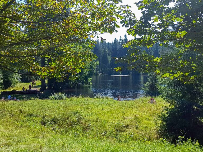 Ochsenbacher 8 768x576