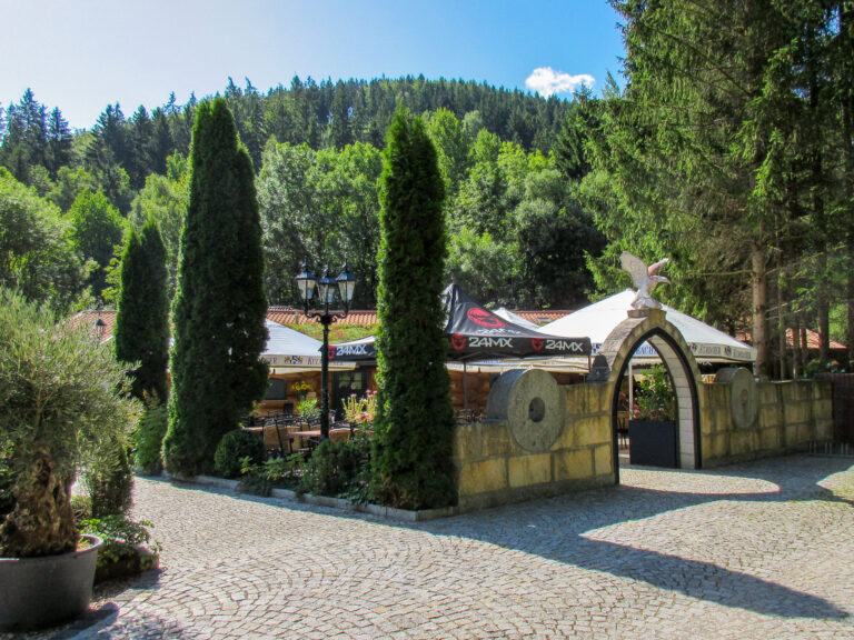 VolleRose 2 768x576