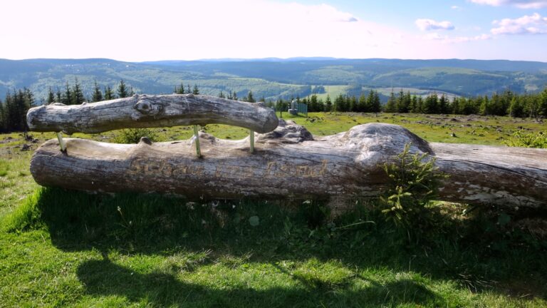 Farmdenkopf 4 768x432