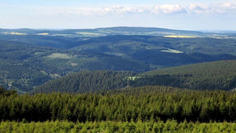 Farmdenkopf 6 768x432