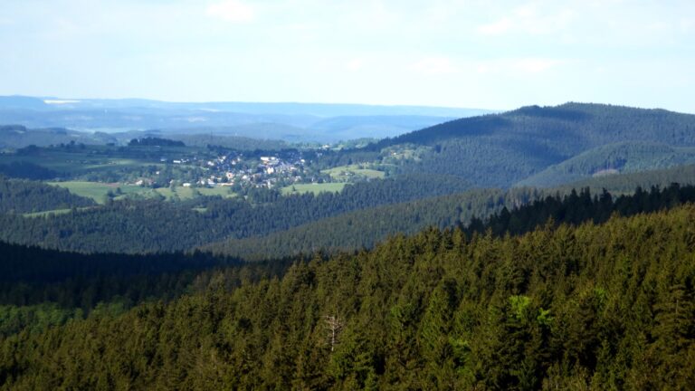 Farmdenkopf 7 768x432