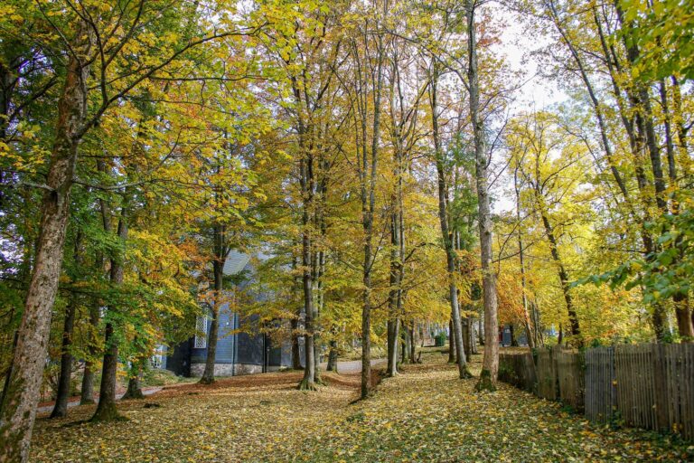 Kirchpark 1 768x512