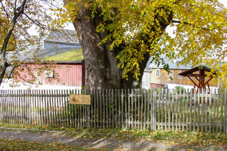 Kirchpark 7 768x512