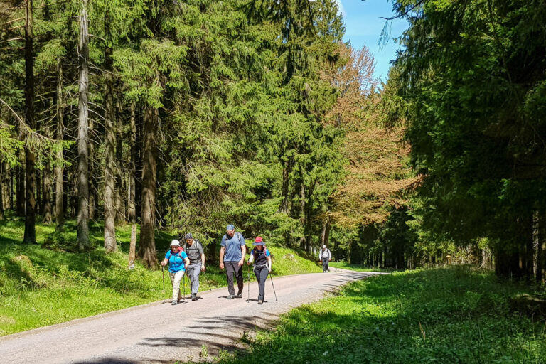 Rennsteigwarte 3 768x512