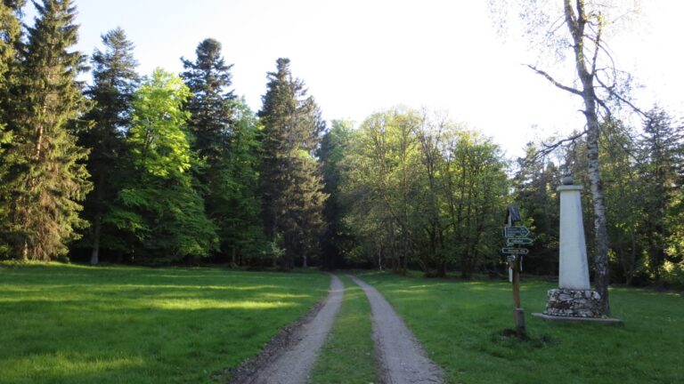 Wurzelberg 5 768x432