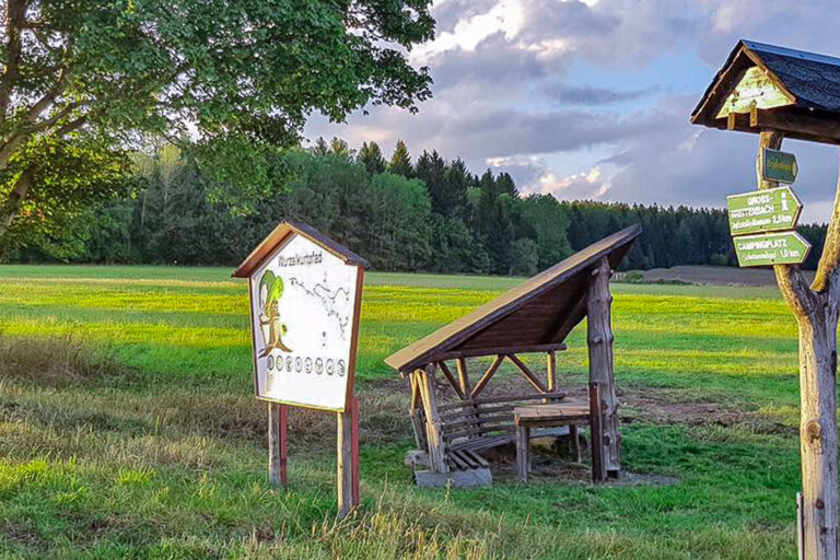 Wurzelkurt 2 768x512