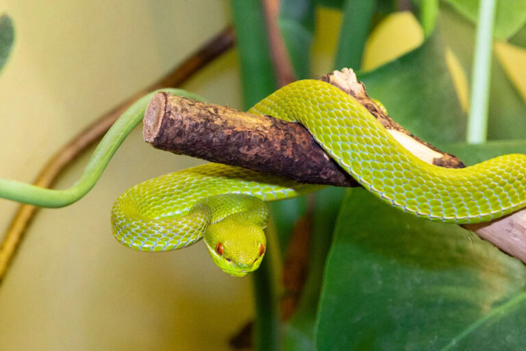 Exotarium 1 768x512