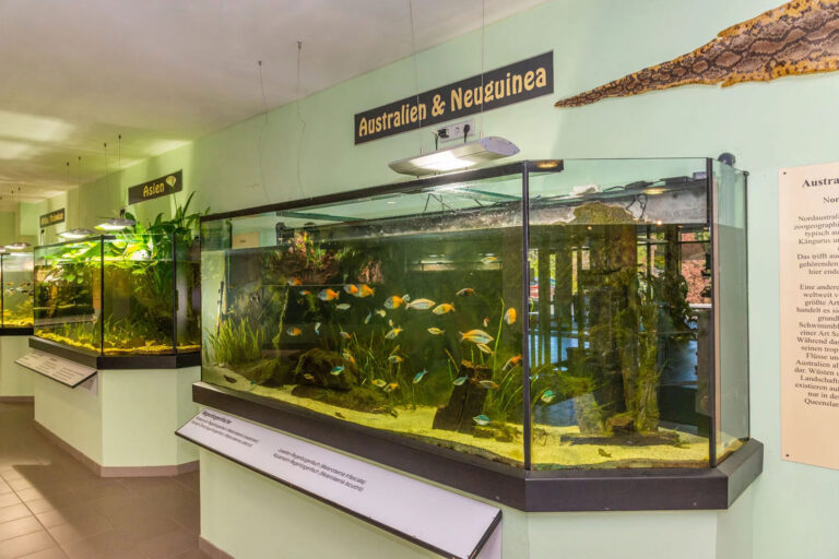 Exotarium 2 768x512