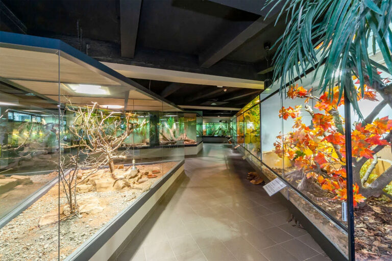 Exotarium Oberhof 1 768x512