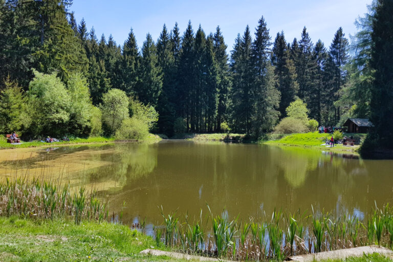 Hoellteich 1 768x512