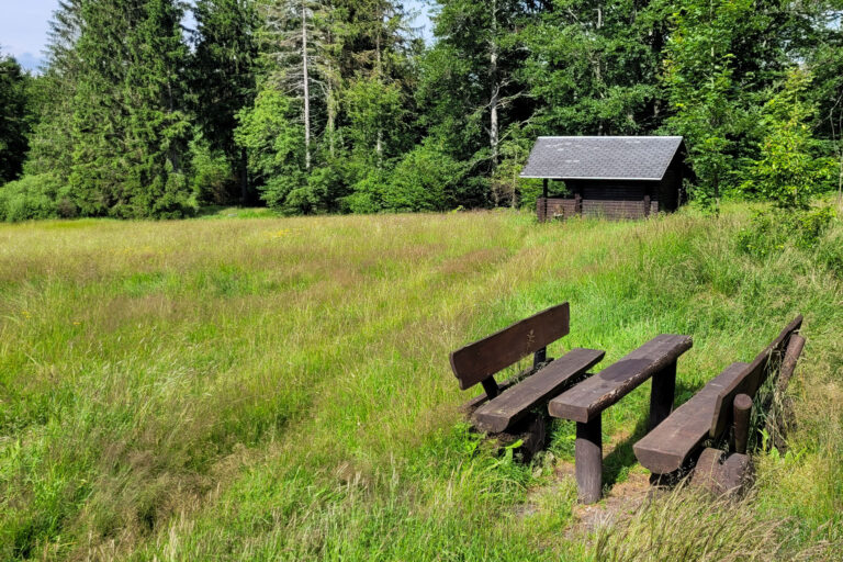 Kleinteichswiese 1 768x512