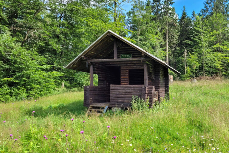 Kleinteichswiese 2 768x512