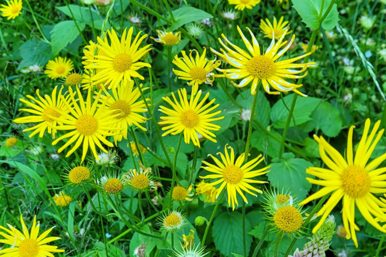 Amselbachtal 2 768x512