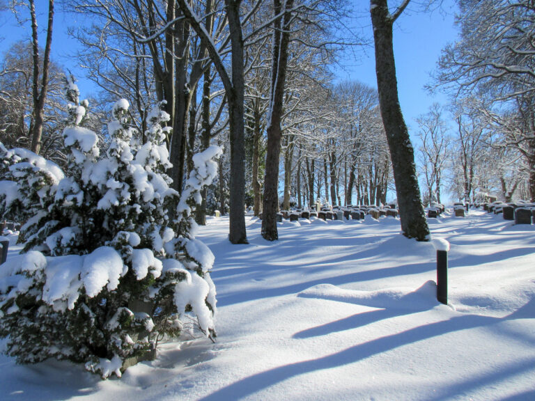 Friedhof 2 768x576