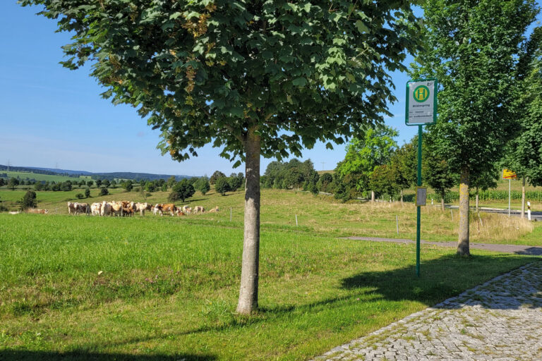 Haltestelle Wildenspring 2 1 768x512