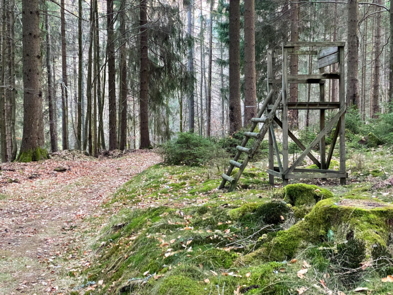 Harztal 2 768x576