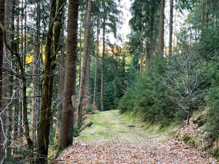Harztal 8 768x576