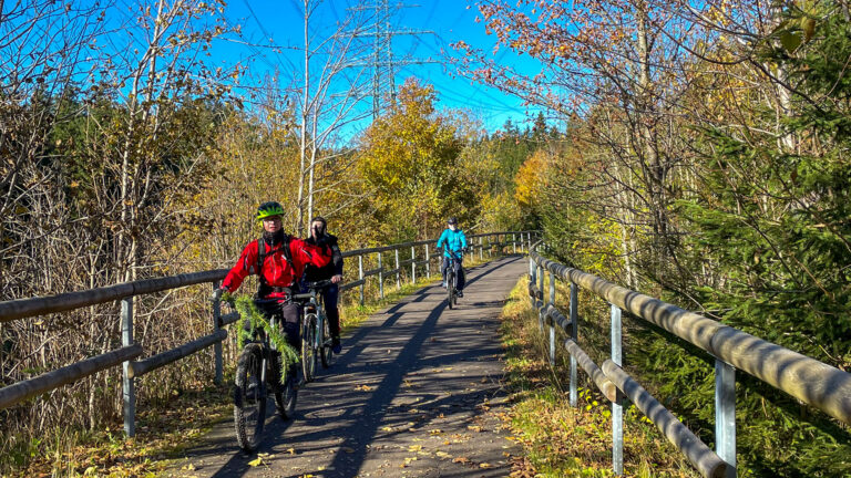 Ilm Rennsteig Radweg 2 768x432