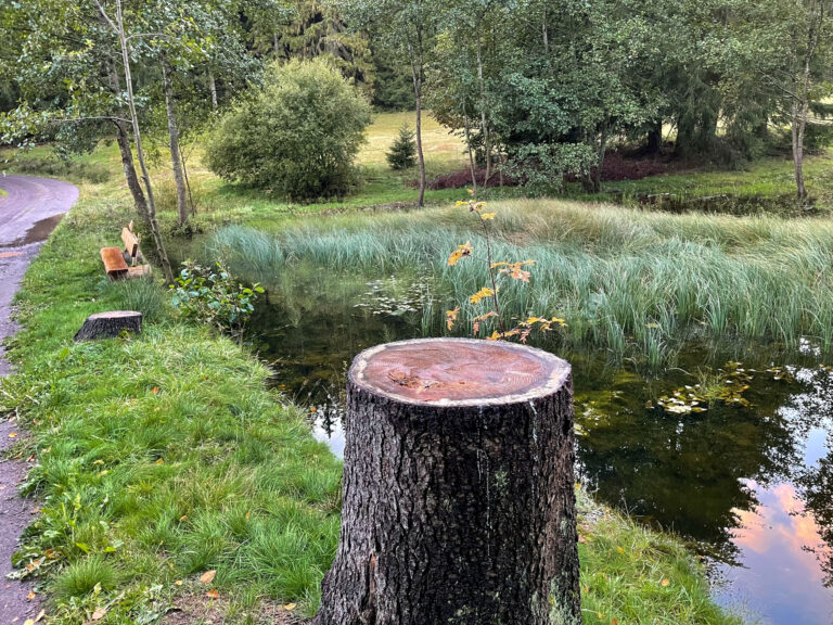 Amselbachteich 1 768x576