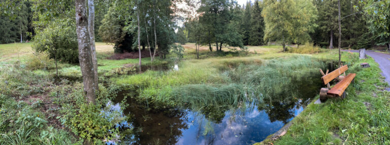 Amselbachteich 2 768x287