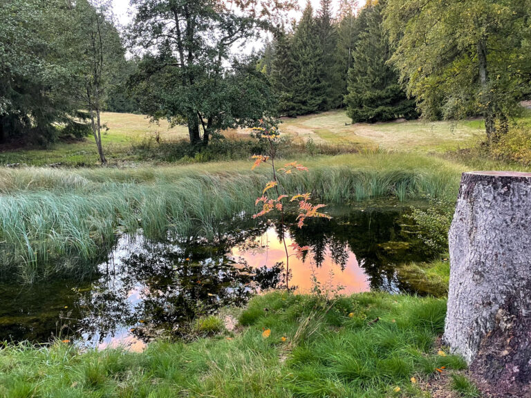 Amselbachteich 768x576
