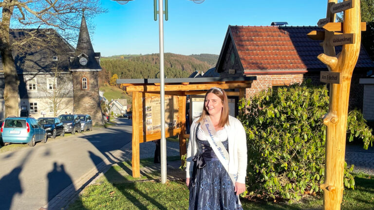 Heimatverein Wildenspring 00 1 768x432