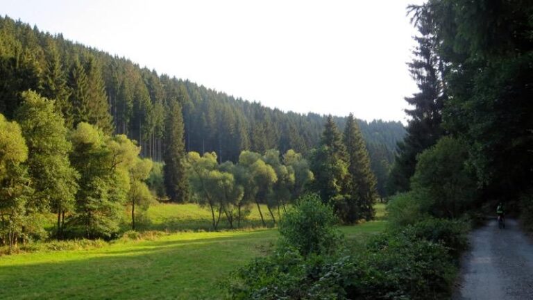 Amselbachtal 768x432