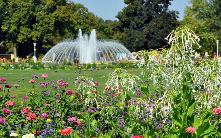Egapark Erfurt 02 1 768x481