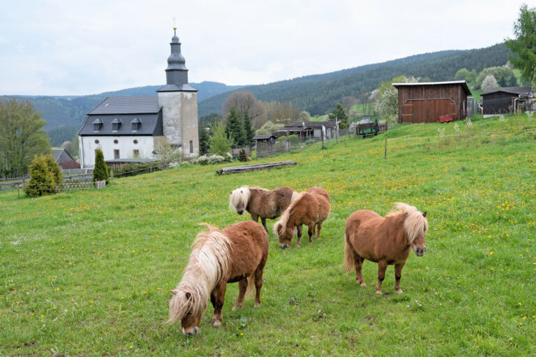 Gestuet Meura 01 768x511