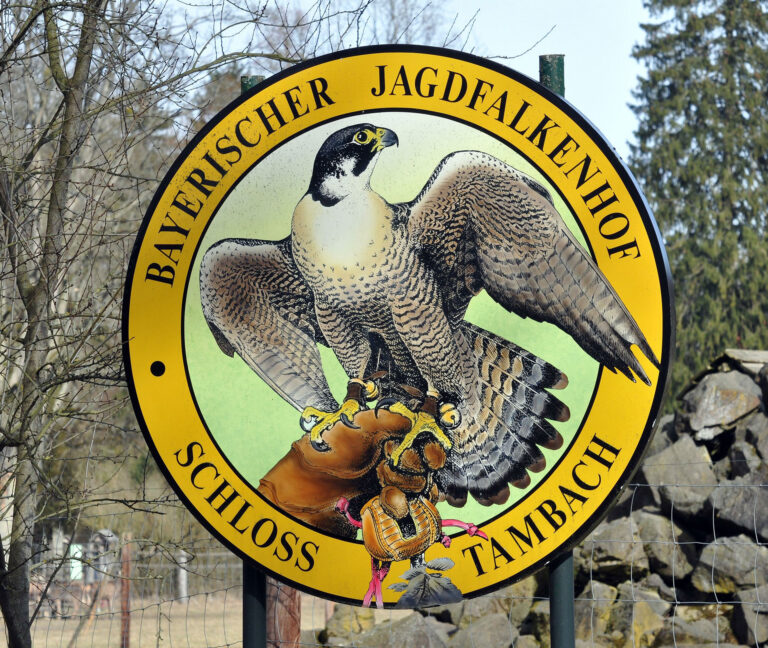 Wildpark Tambach 04 768x648