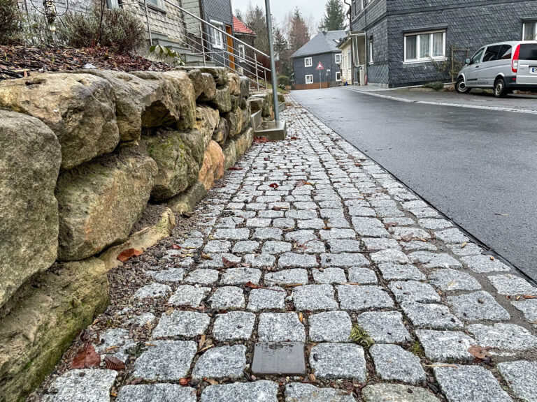 IMG 0877 768x576