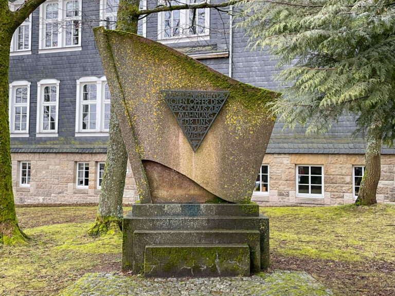 IMG 0894 768x576