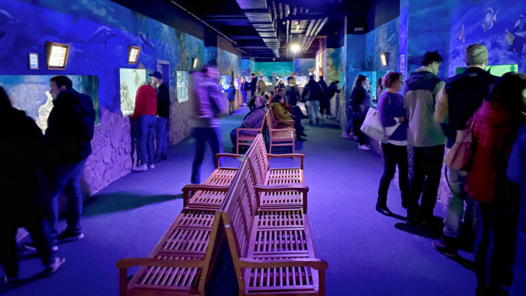 Meeresaquarium 02 768x432