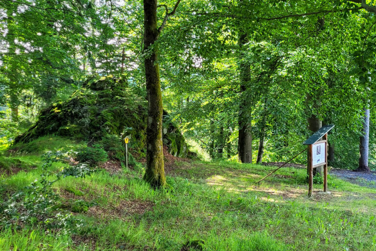 Triniusbaude 09 768x512
