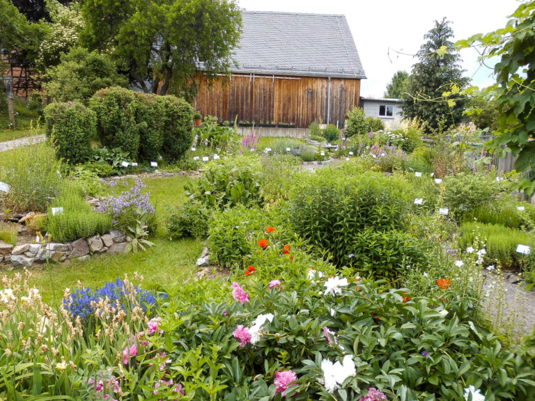 ThueringerWaldKreativMuseum 005 768x576