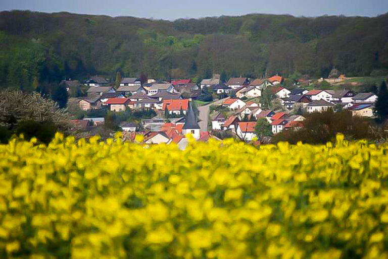 Breitenbach Pfalz 768x514