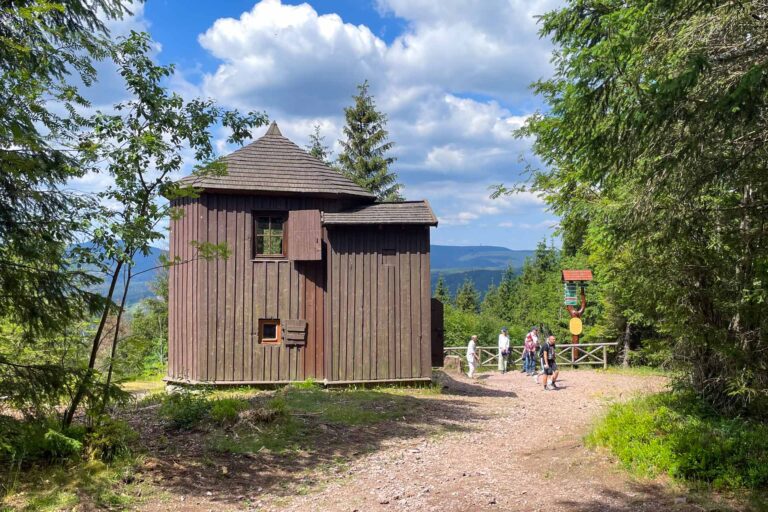 Kickelhahn 006 768x512