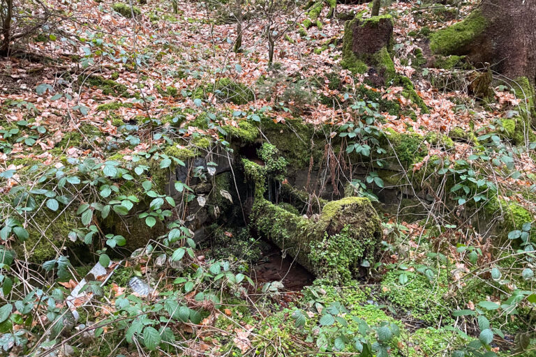 Quelle an der Grundsmuehle 001 768x512